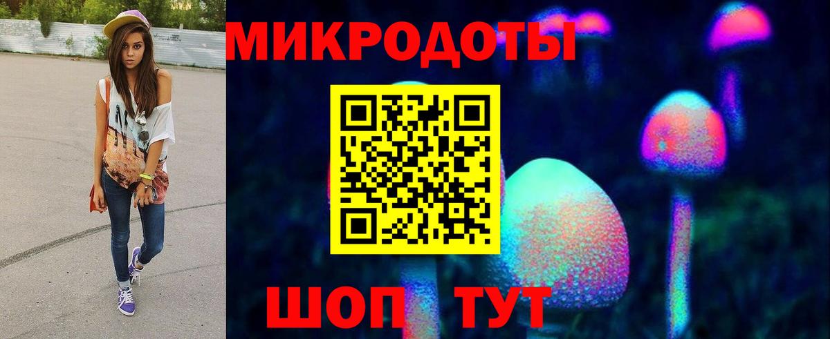 Псилоцибиновые грибы Psilocybine cubensis  Вход с VPN  Ростов-на-Дону 
